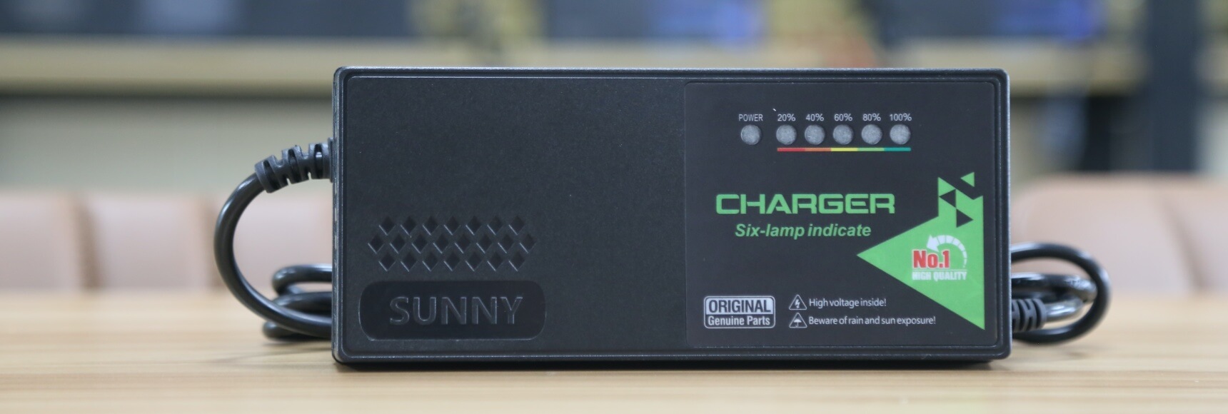 Professional 6V lead acid battery charger manufacturer in China Linjia