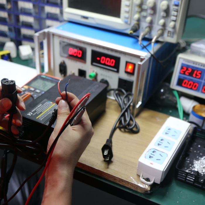 OEM battery charger with AC 220V / 50Hz input configured for the destination market before batch manufacturing.