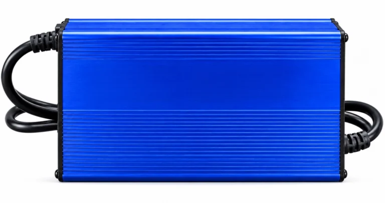 60V 10A Lithium Battery Charger Blue ribbed aluminum charger housing with black end caps and cables, presented as a Linjia 60V 10A lithium battery charger.